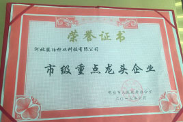荣誉资质