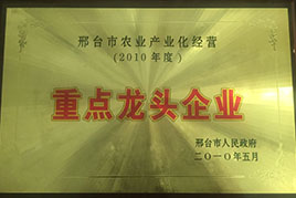 荣誉资质