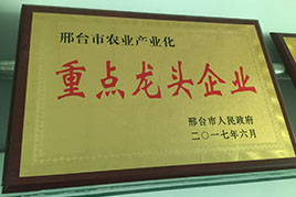 荣誉资质