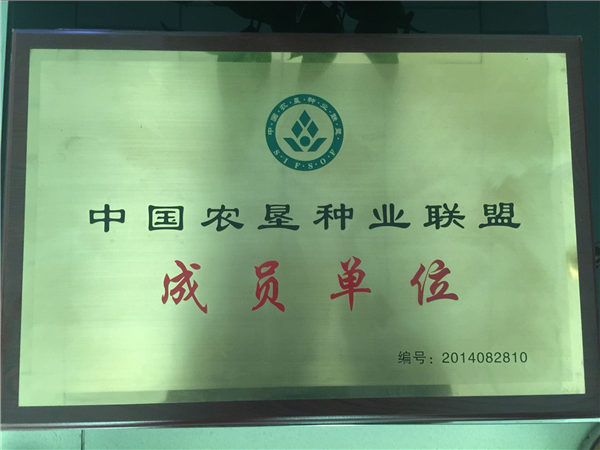 荣誉资质