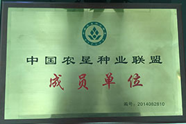 荣誉资质
