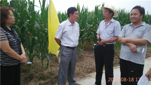 2014年8月河北省农业厅专家领导检查指导工作