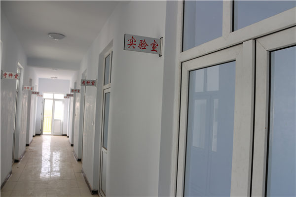 3科研基础 婴泊种业试验站