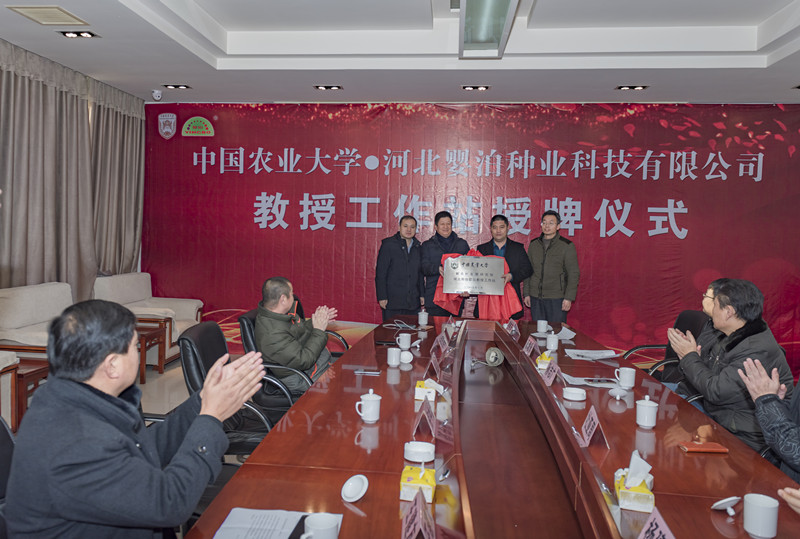 热烈祝贺中国农大教授工作站落户河北婴泊种业~