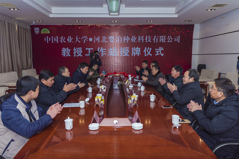 热烈祝贺中国农大教授工作站落户河北婴泊种业~