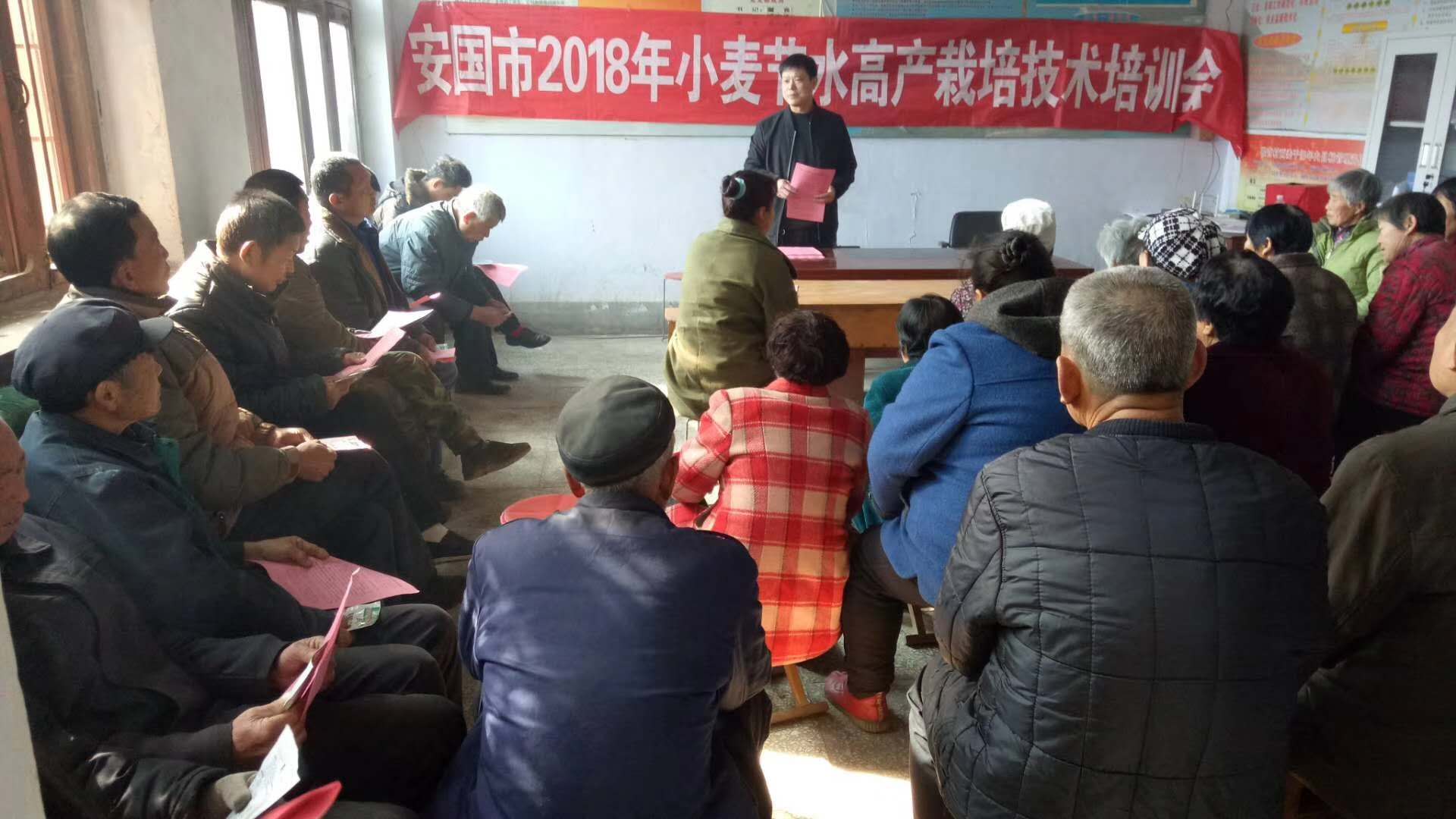 婴泊种业科技有限公司下乡小麦节水高产栽培技术培训会