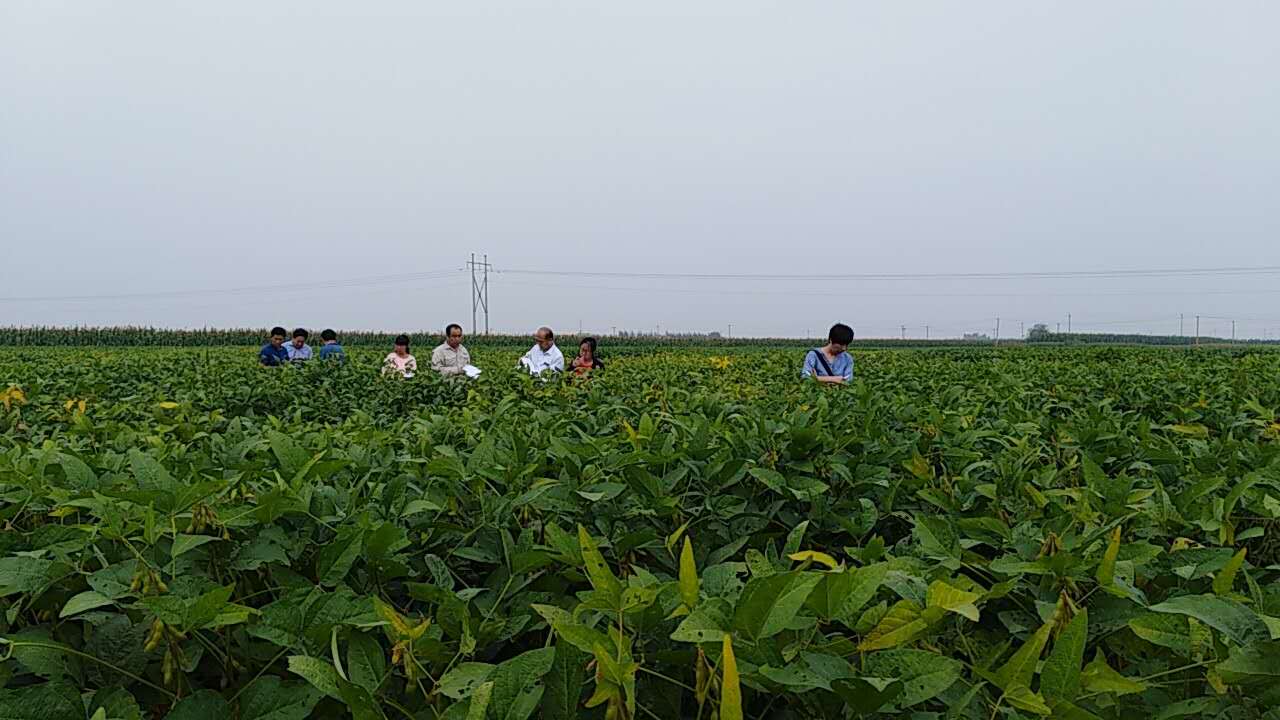 河北省玉米大豆品种审定委员会领导及专家来我站考察