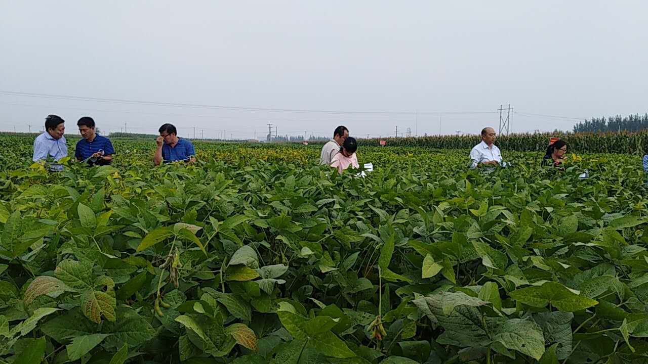 河北省玉米大豆品种审定委员会领导及专家来我站考察
