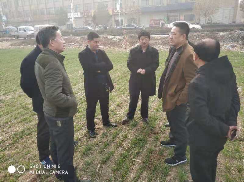 国审小麦石麦26（国审麦20180052）落户河北婴泊种业科技有限公司