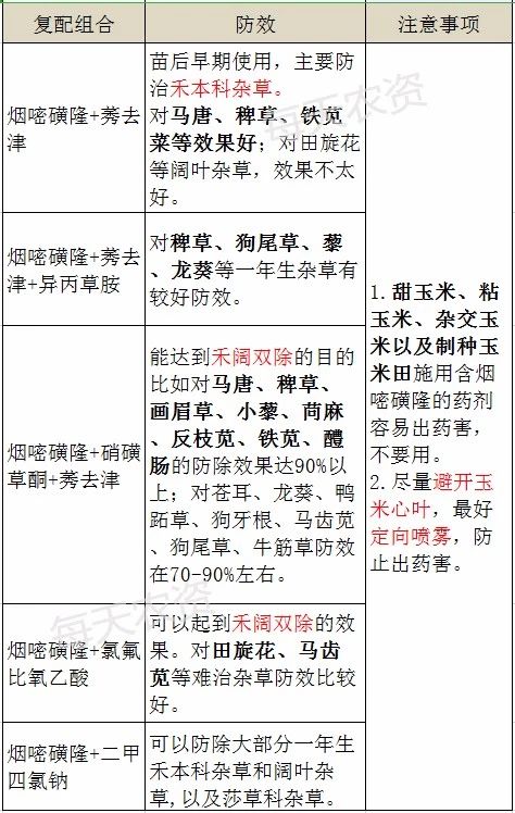 除草高峰期——烟嘧磺隆“4大要点”总结!