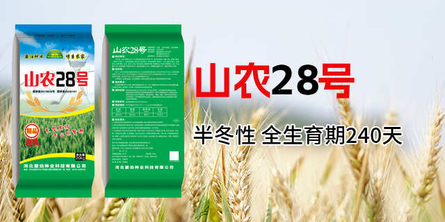 山农28