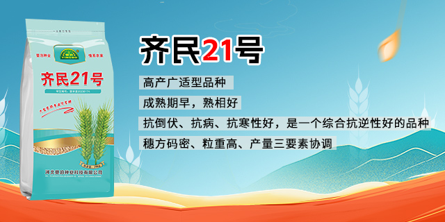 齐民21号